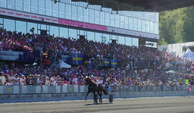 ELITLOPPSMÅLET: EN TRYGG FOLKFEST!