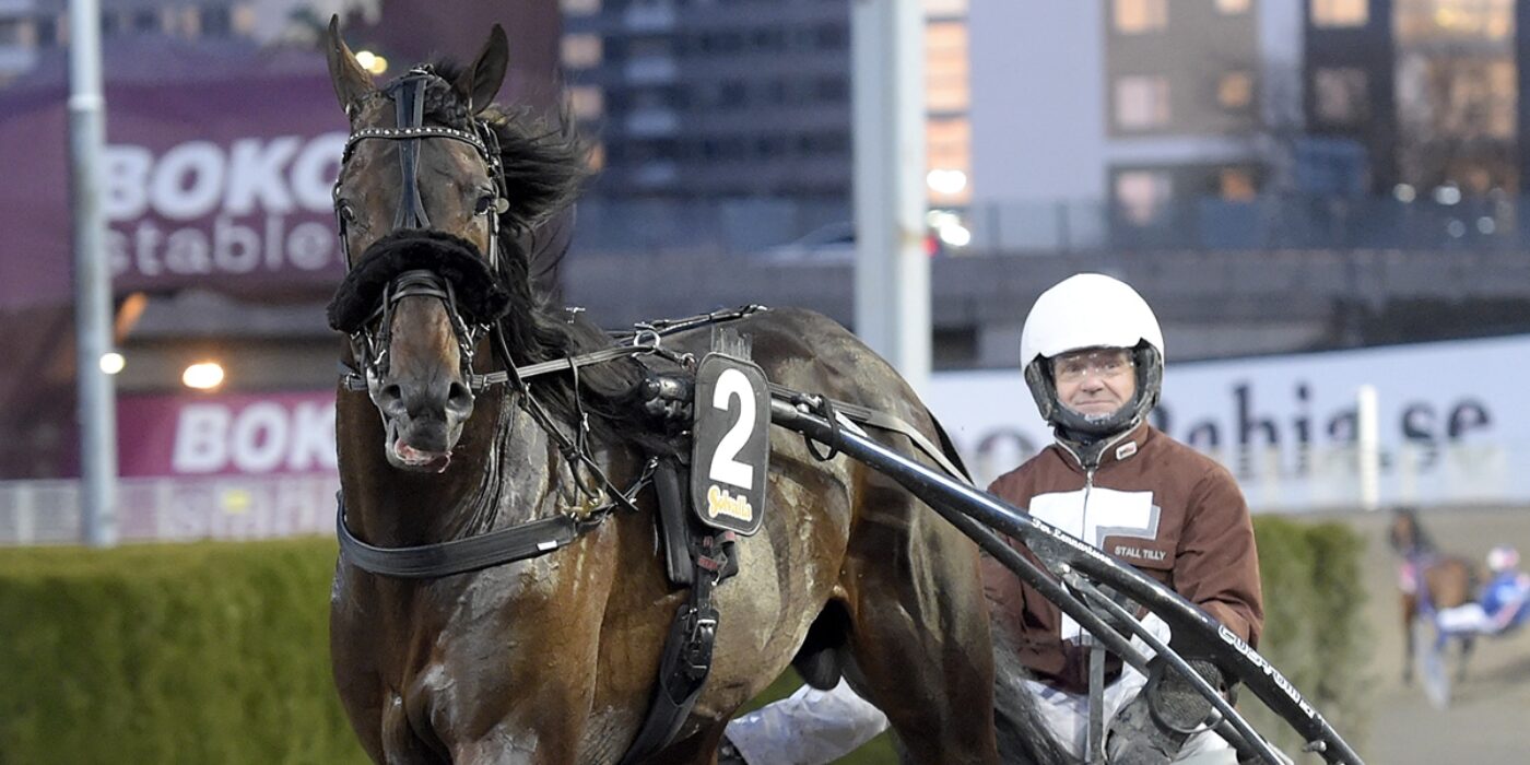 MÅNADENS HÄSTÄGARE &#8211; APRIL 2021