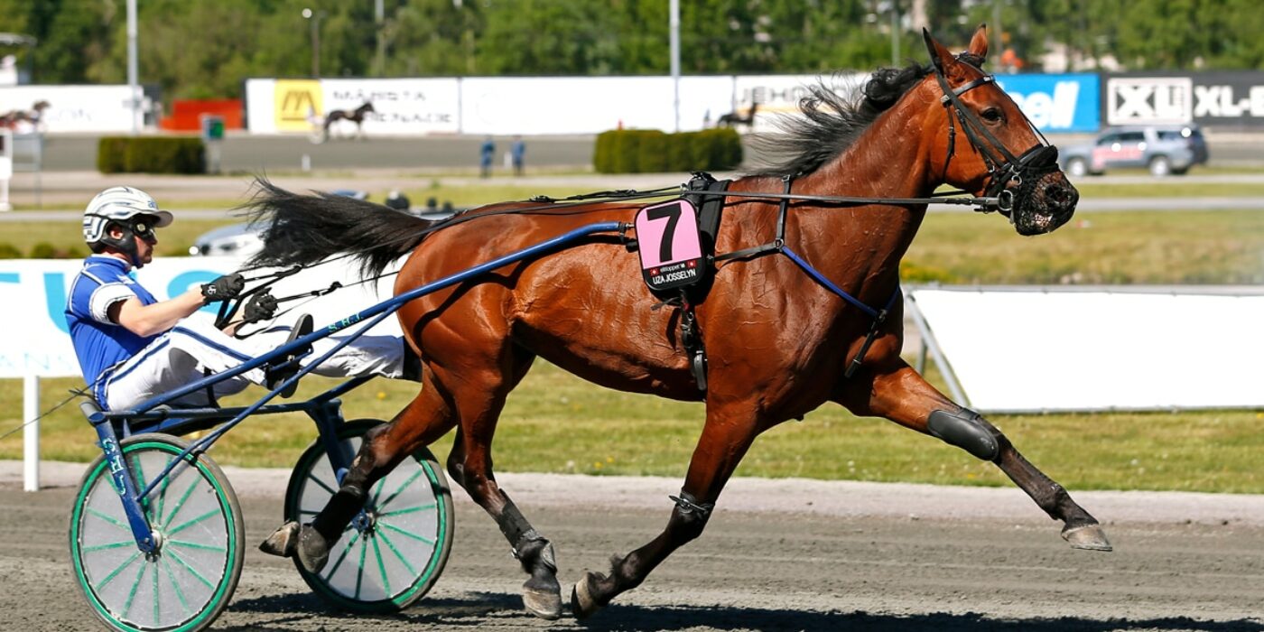 ​Uza Josselyn inbjuden till Elitloppet