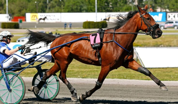 Uza Josselyn inbjuden till Elitloppet