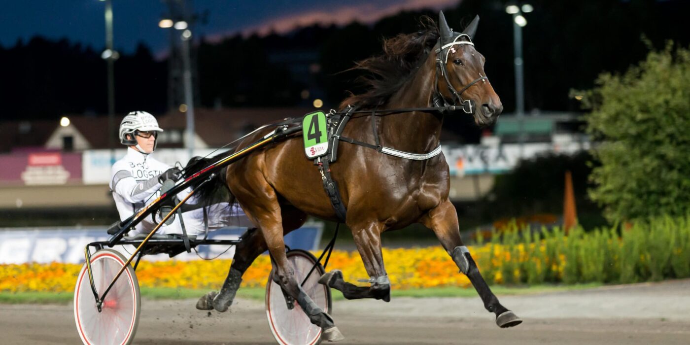 ANDELSTIPSET &#8211; V86