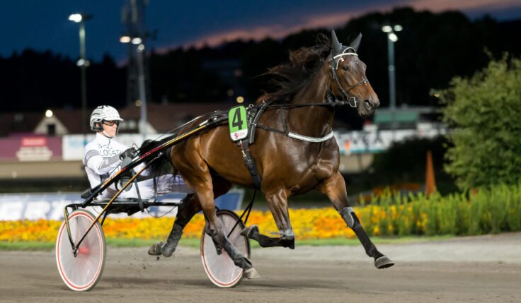 ANDELSTIPSET &#8211; V86