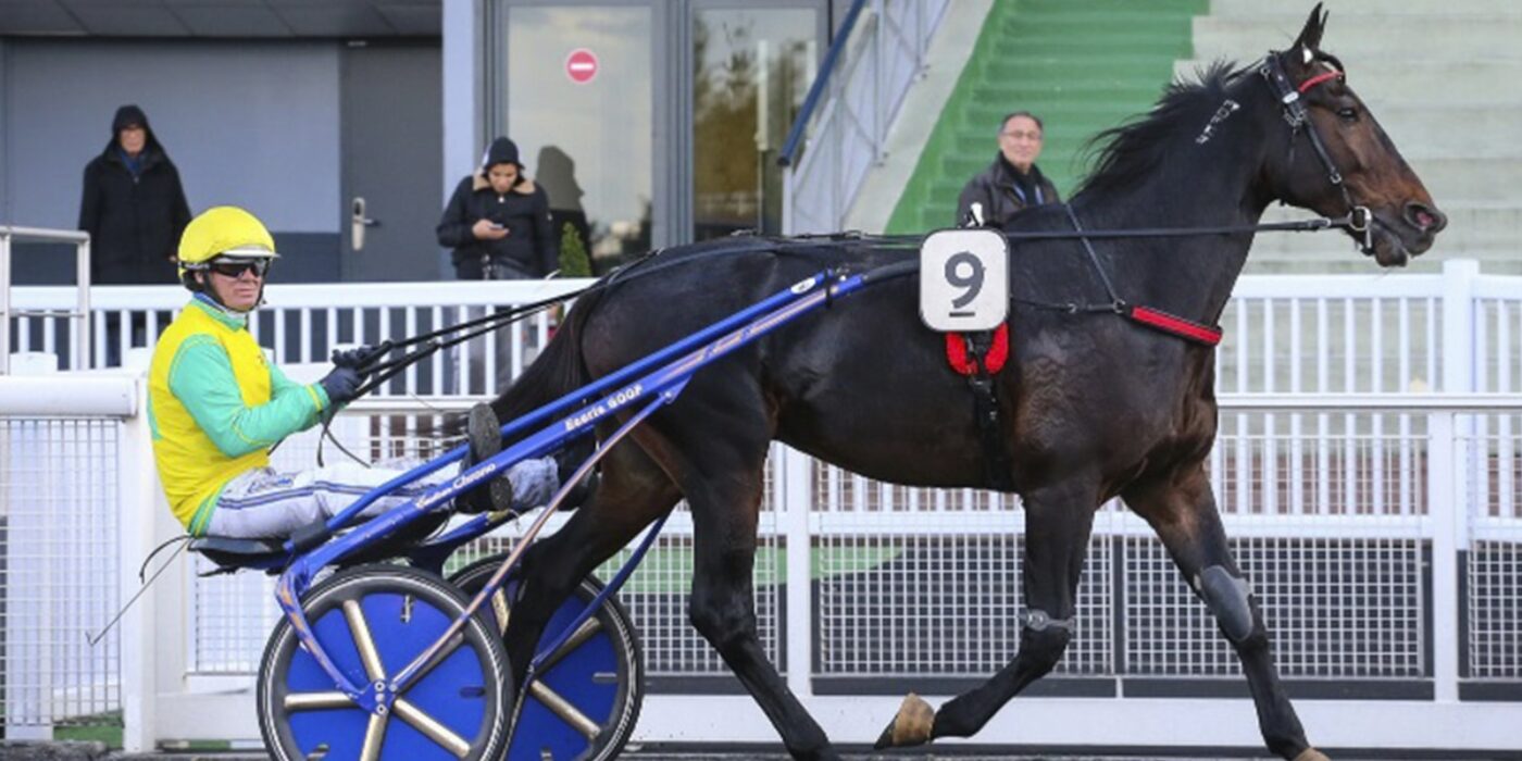 VIVID WISE AS KLAR FÖR ELITLOPPET 2020