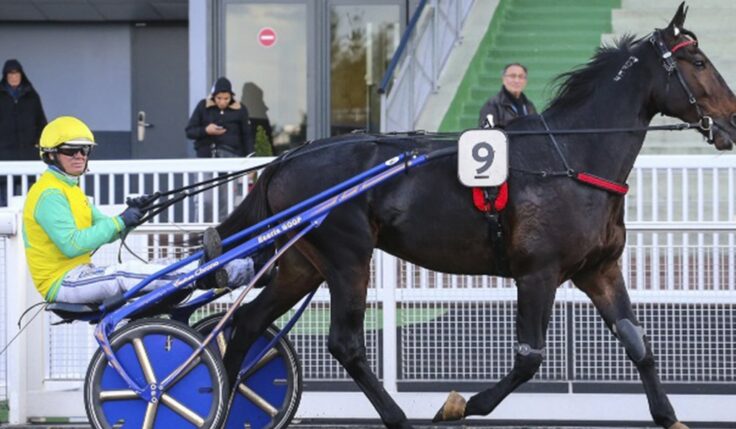VIVID WISE AS KLAR FÖR ELITLOPPET 2020