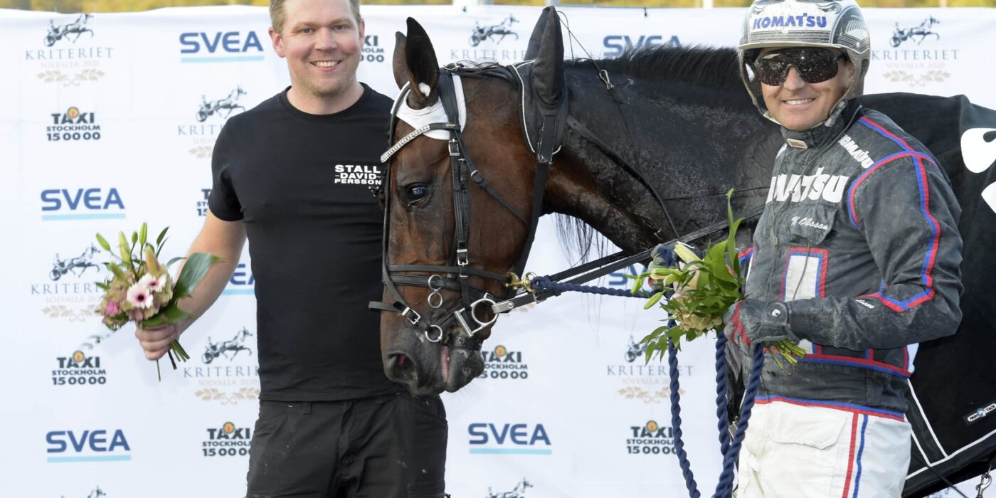 ANDELSTIPSET &#8211; V75