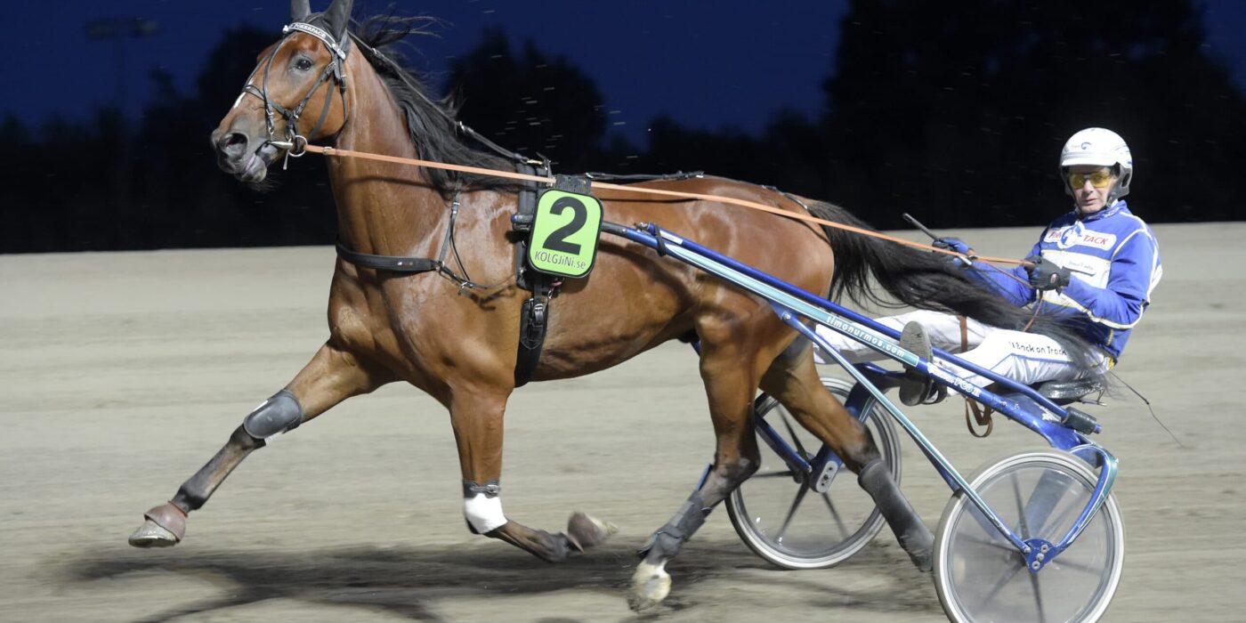 ANDELSTIPSET &#8211; V75