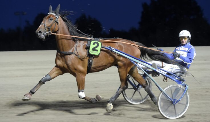 ANDELSTIPSET &#8211; V75