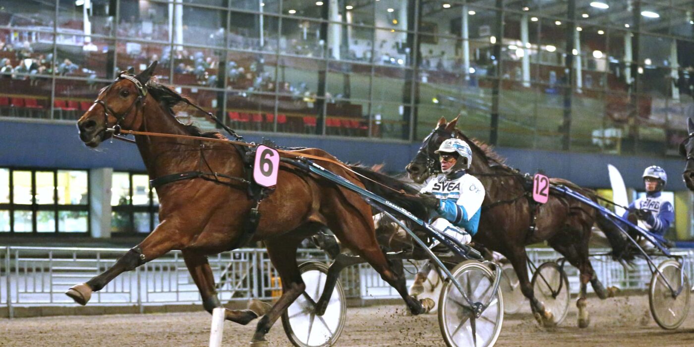 ANDELSTIPSET &#8211; V86