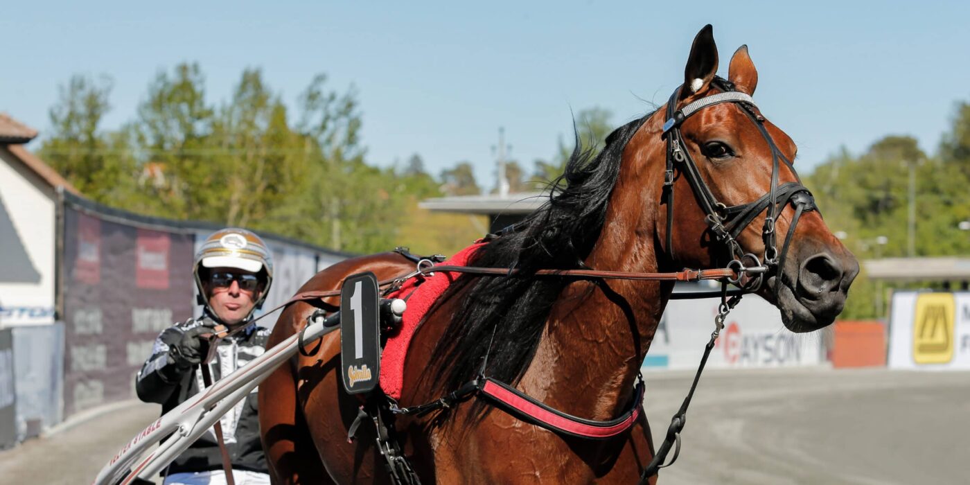 ANDELSTIPSET &#8211; V86