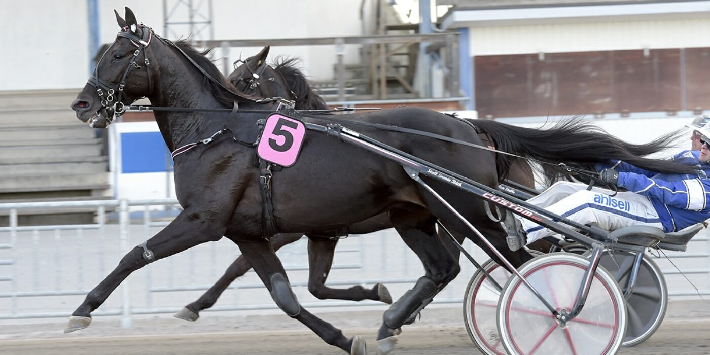 VERY KRONOS KLAR FÖR ELITLOPPET 2021