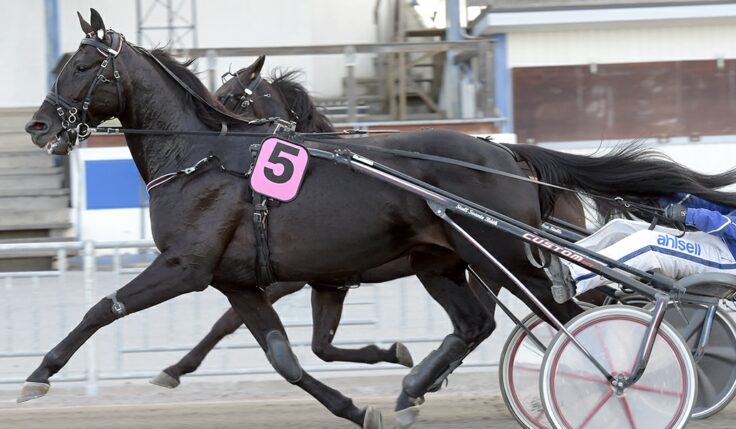 VERY KRONOS KLAR FÖR ELITLOPPET 2021