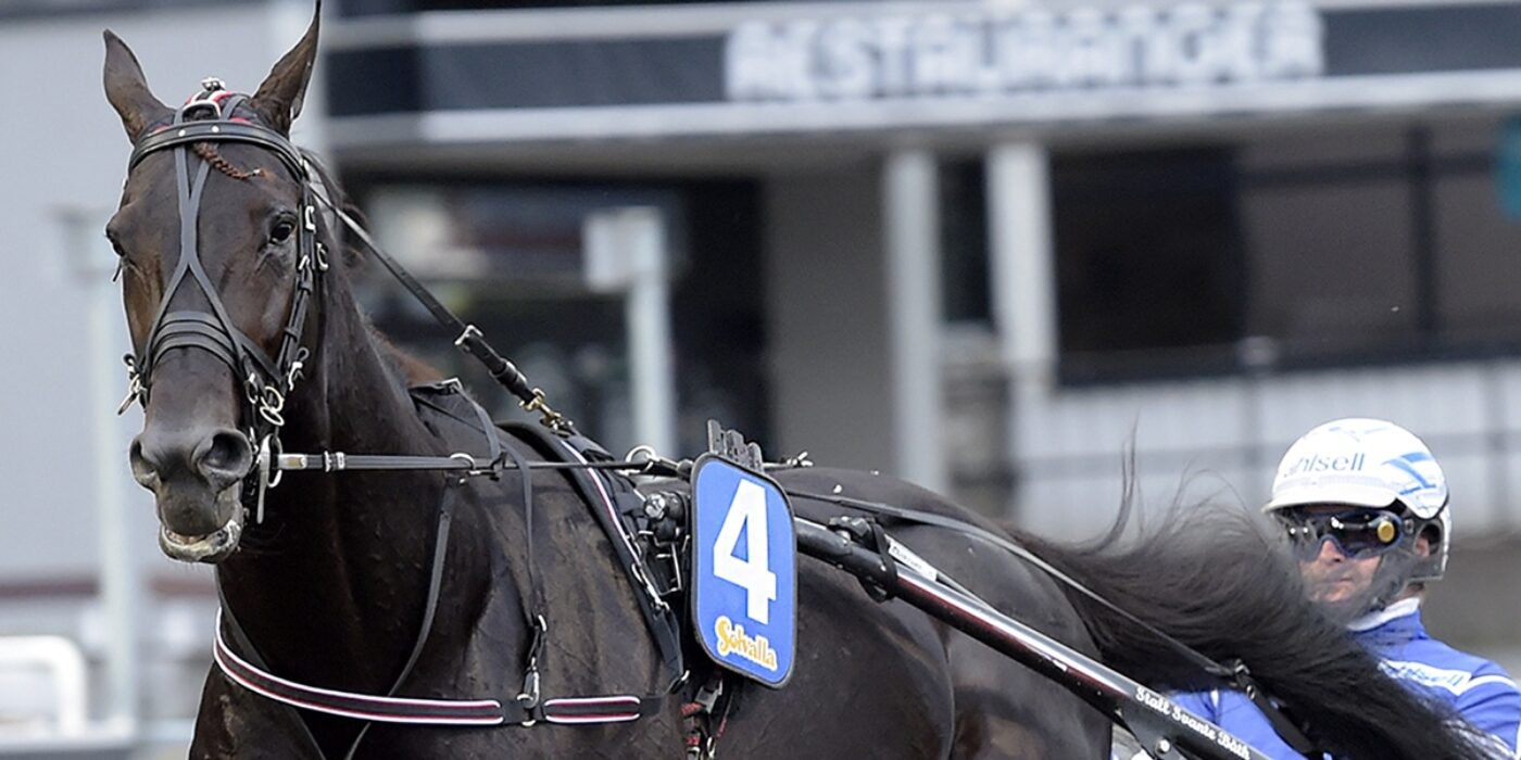 HÄR ÄR SOLVALLAS ALLA CHAMPIONS 2020