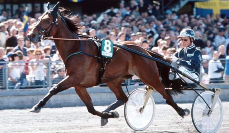 STIG H JOHANSSONS POKAL – NYTT PRIS I ELITLOPPET