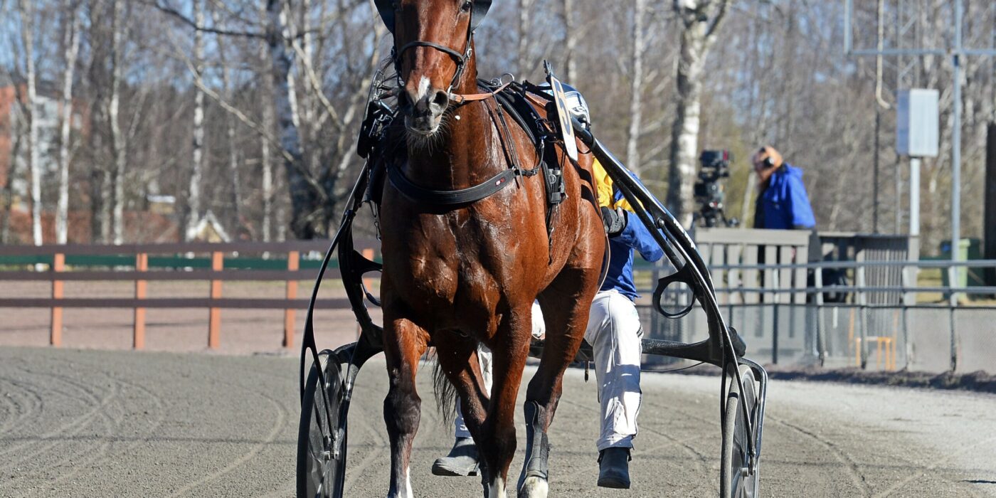 ANDELSTIPSET &#8211; V75