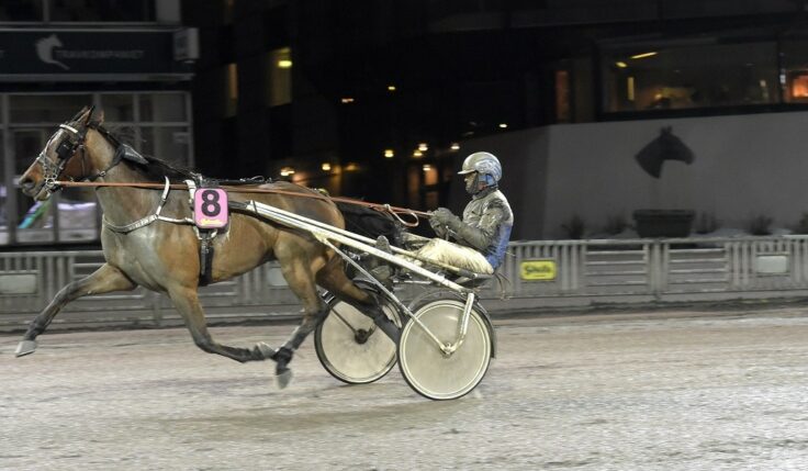 Carl Johan Jepson tog V75 Champions-titeln