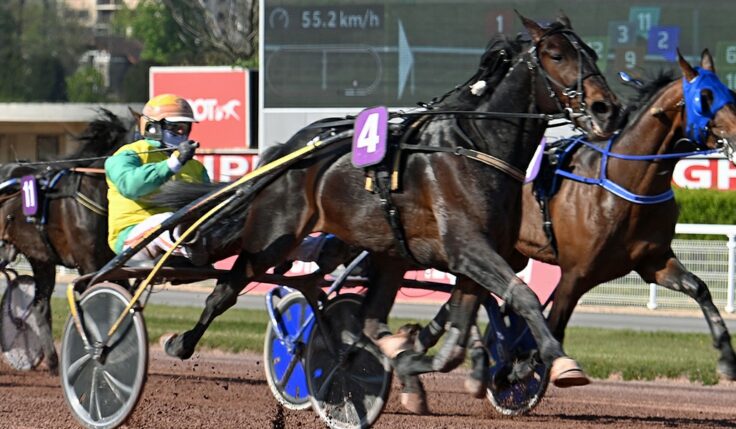 VIVID WISE AS KLAR FÖR ELITLOPPET 2021