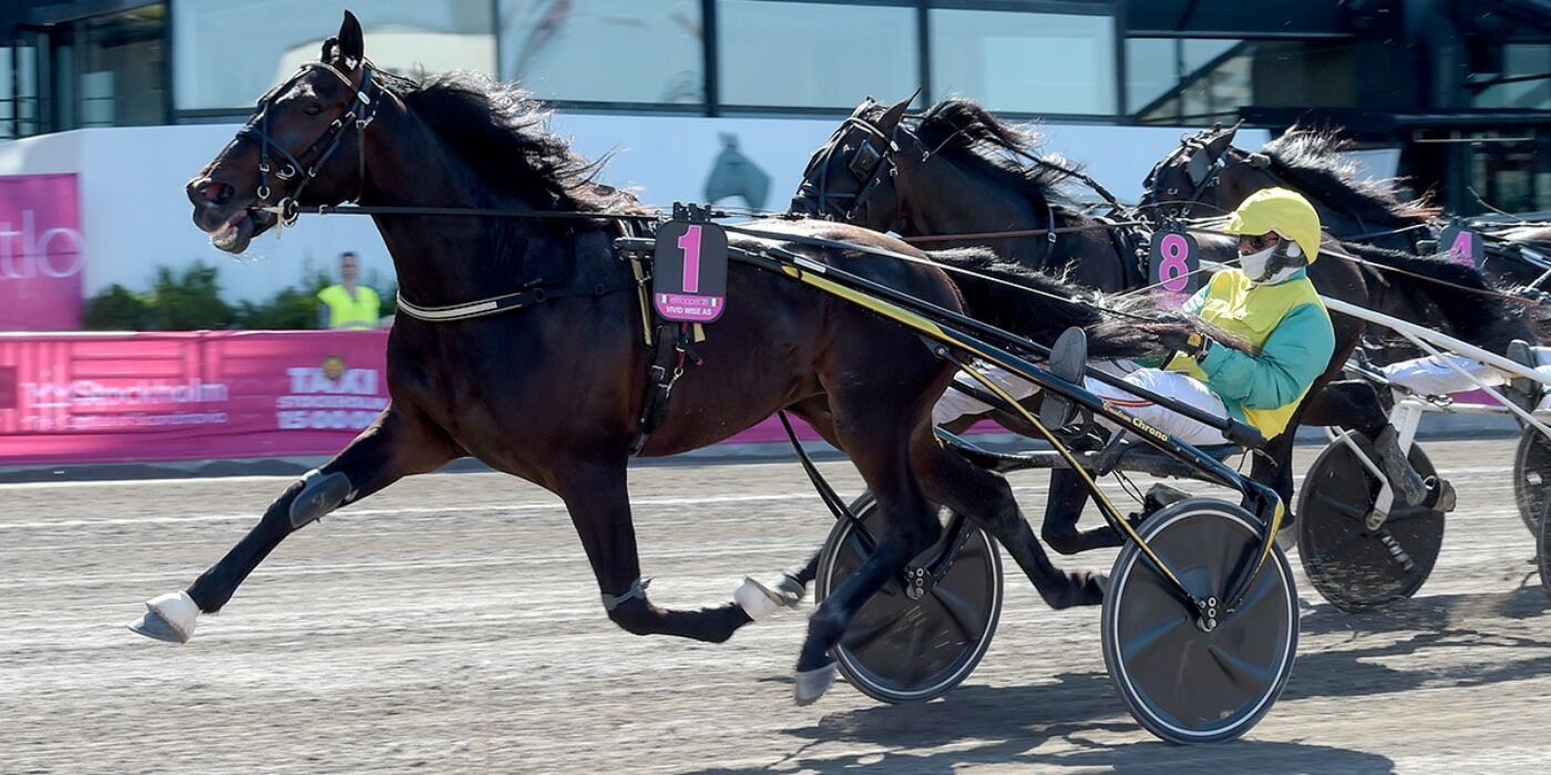 VIVID WISE AS TILL ELITLOPPET 2022