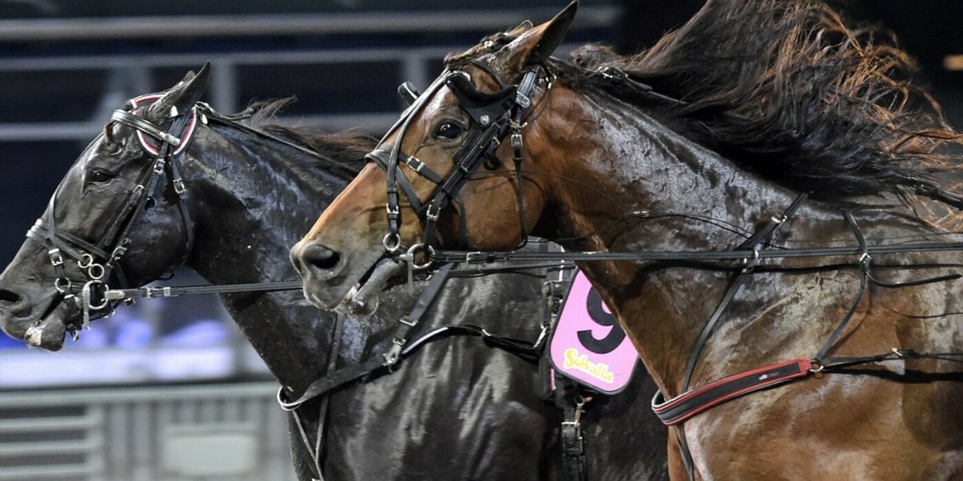 FEM TIMMAR LIVESPORT FRÅN SOLVALLA