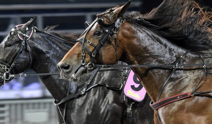 FEM TIMMAR LIVESPORT FRÅN SOLVALLA