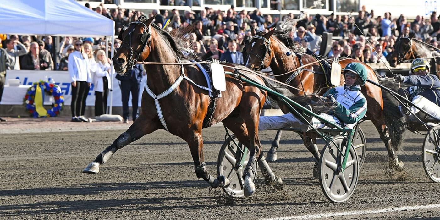 WHO&#8217;S WHO KLAR FÖR ELITLOPPET 2022