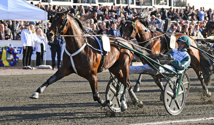 WHO’S WHO KLAR FÖR ELITLOPPET 2022