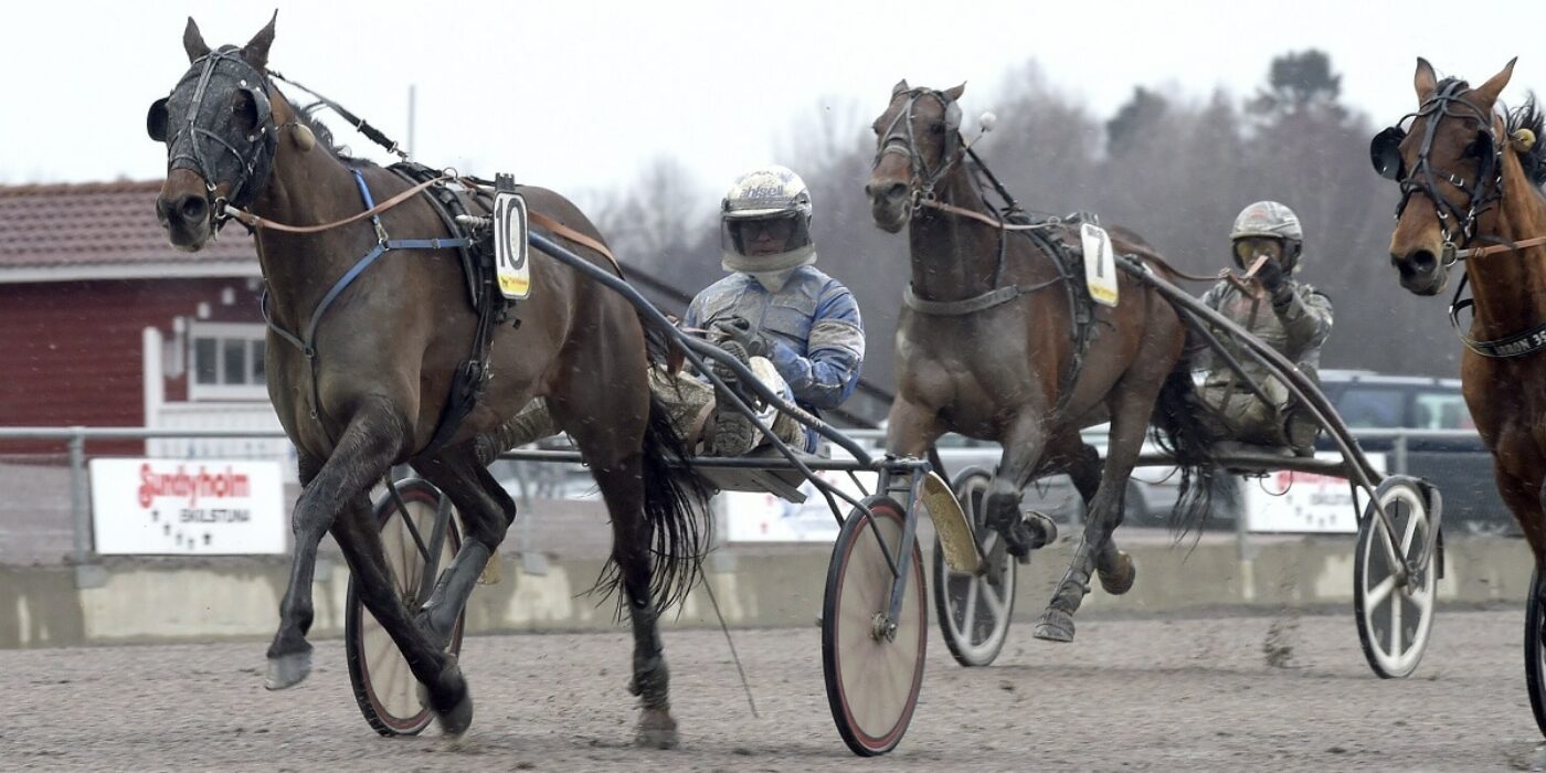 V75 (söndag): Kan det bli lilla Elitloppet för amatörhästen?