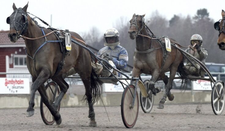 V75 (söndag): Kan det bli lilla Elitloppet för amatörhästen?
