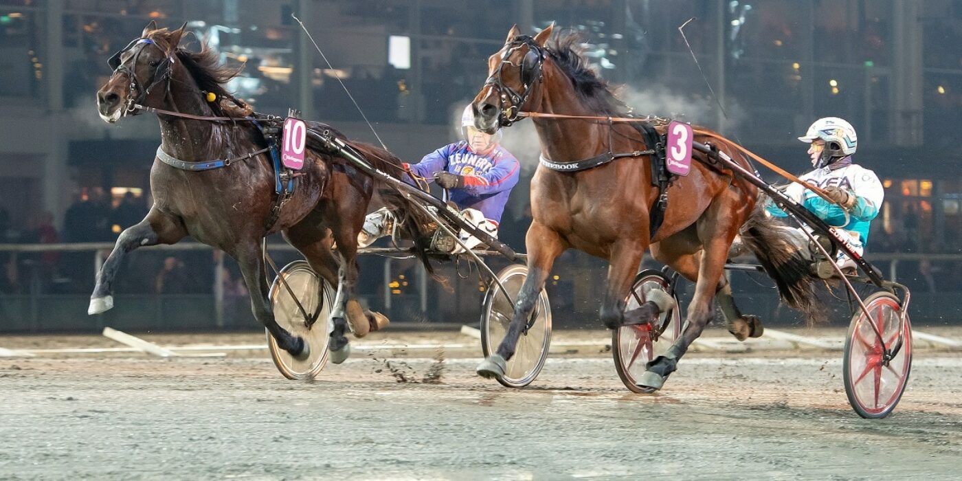 V75: Delad segerglädje i Svensk Uppfödningslöpning