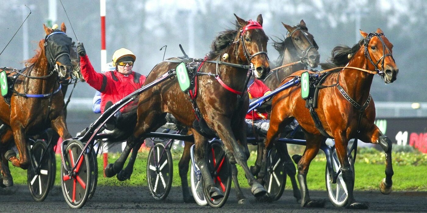 Formbesked av Bold Eagle och Readly Express