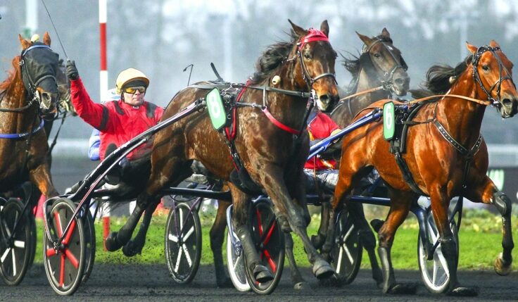 Formbesked av Bold Eagle och Readly Express