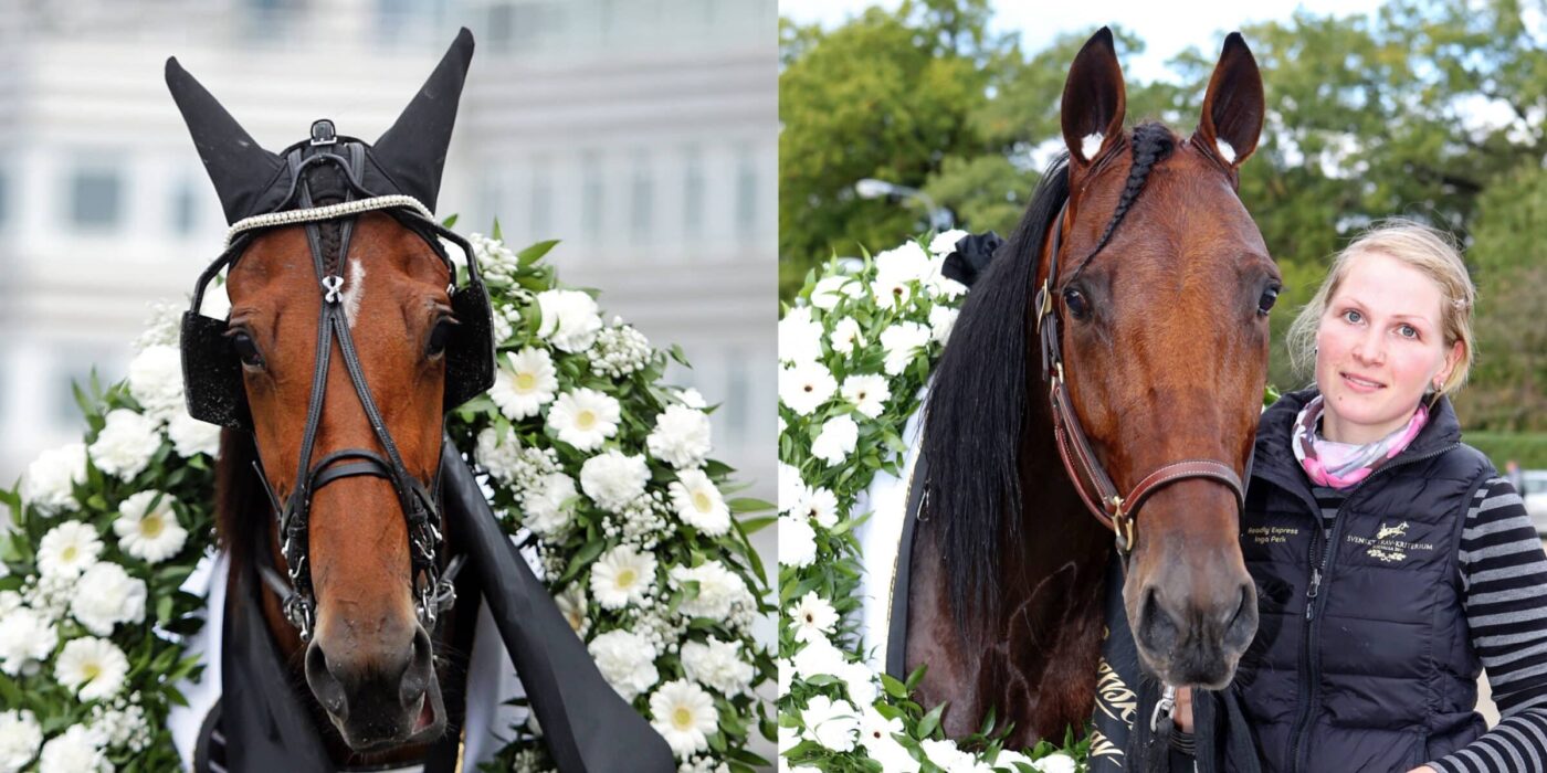 NY STORDAG FÖR FYRAÅRINGAR PÅ SOLVALLA