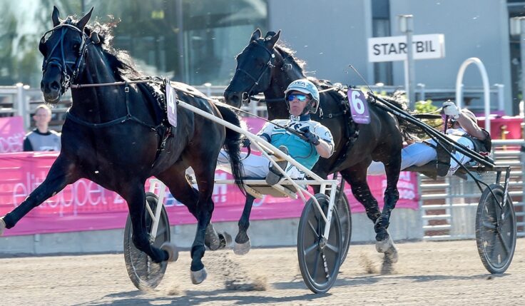 DON FANUCCI ZET TILL ELITLOPPET 2022