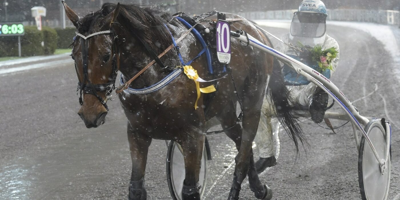 Einstein Sisu förkrossande överlägsen i snöyran