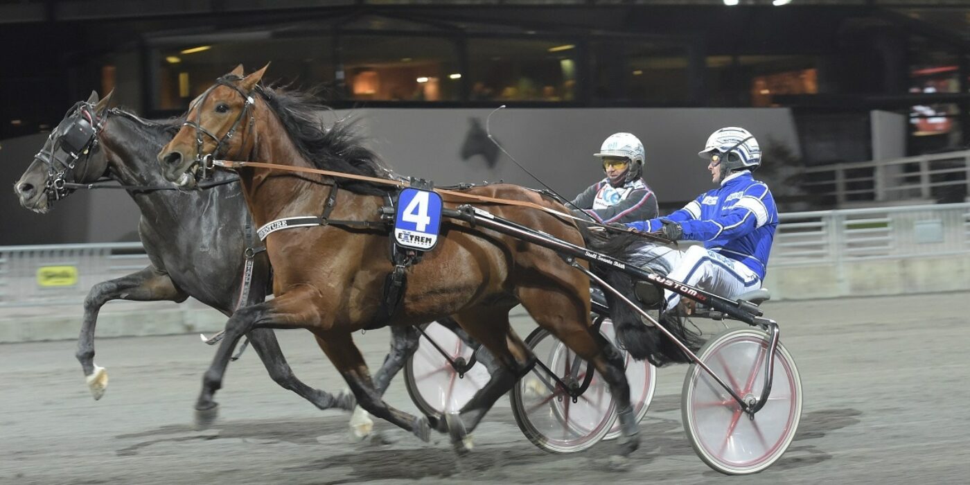 Till Uppfödningslöpningen &#8211; trots toabesök