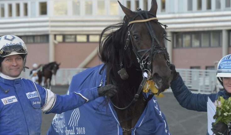 Breeders Crown (2): Vilken svepning av Global Welcome!
