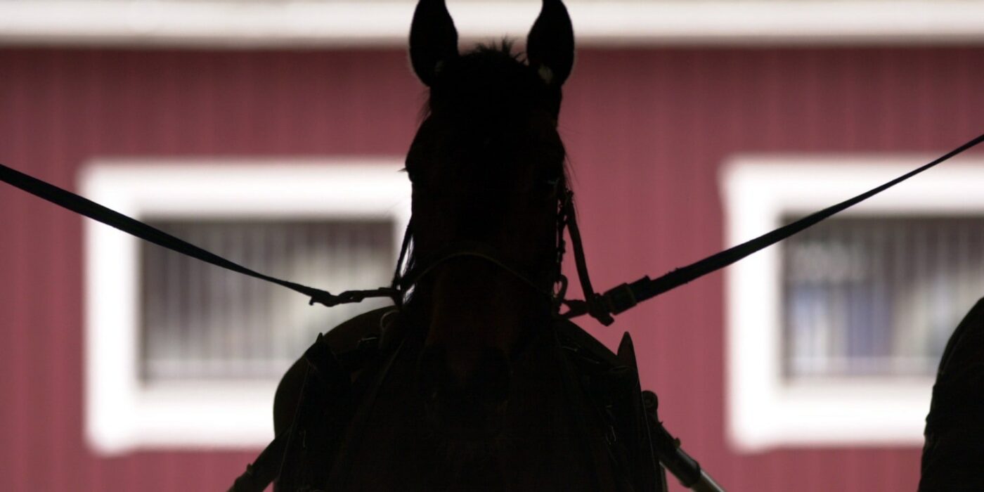 Stoppa smittan – se över dina rutiner