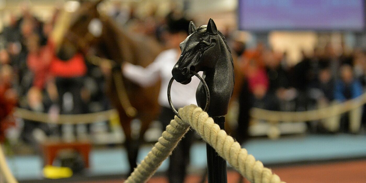 Kriterieauktionen, första dagen