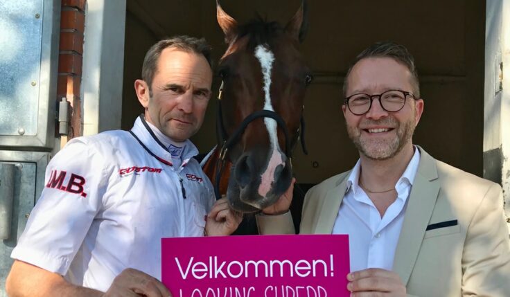 Looking Superb inbjuden till Elitloppet