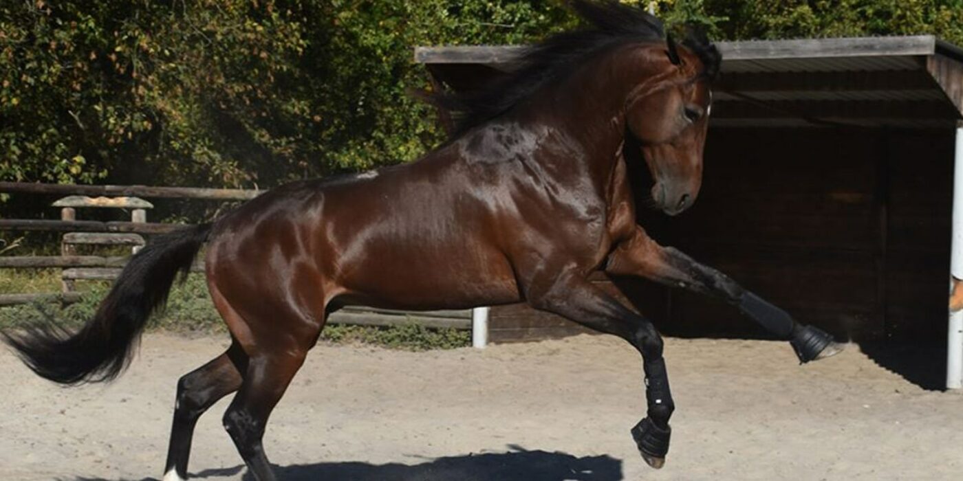 Lycka till i Paris Who&#8217;s Who!