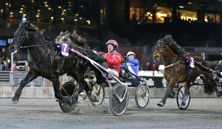 V65 Solvalla: Månprinsen höll – Twister Bi föll