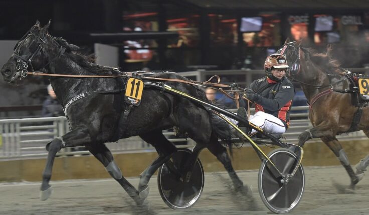Milliondollarrhyme inbjuden till Elitloppet