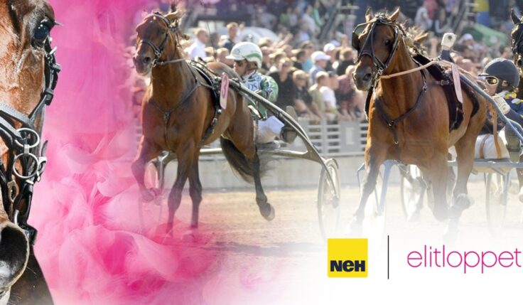 NeH NY HUVUDSPONSOR FÖR ELITLOPPET