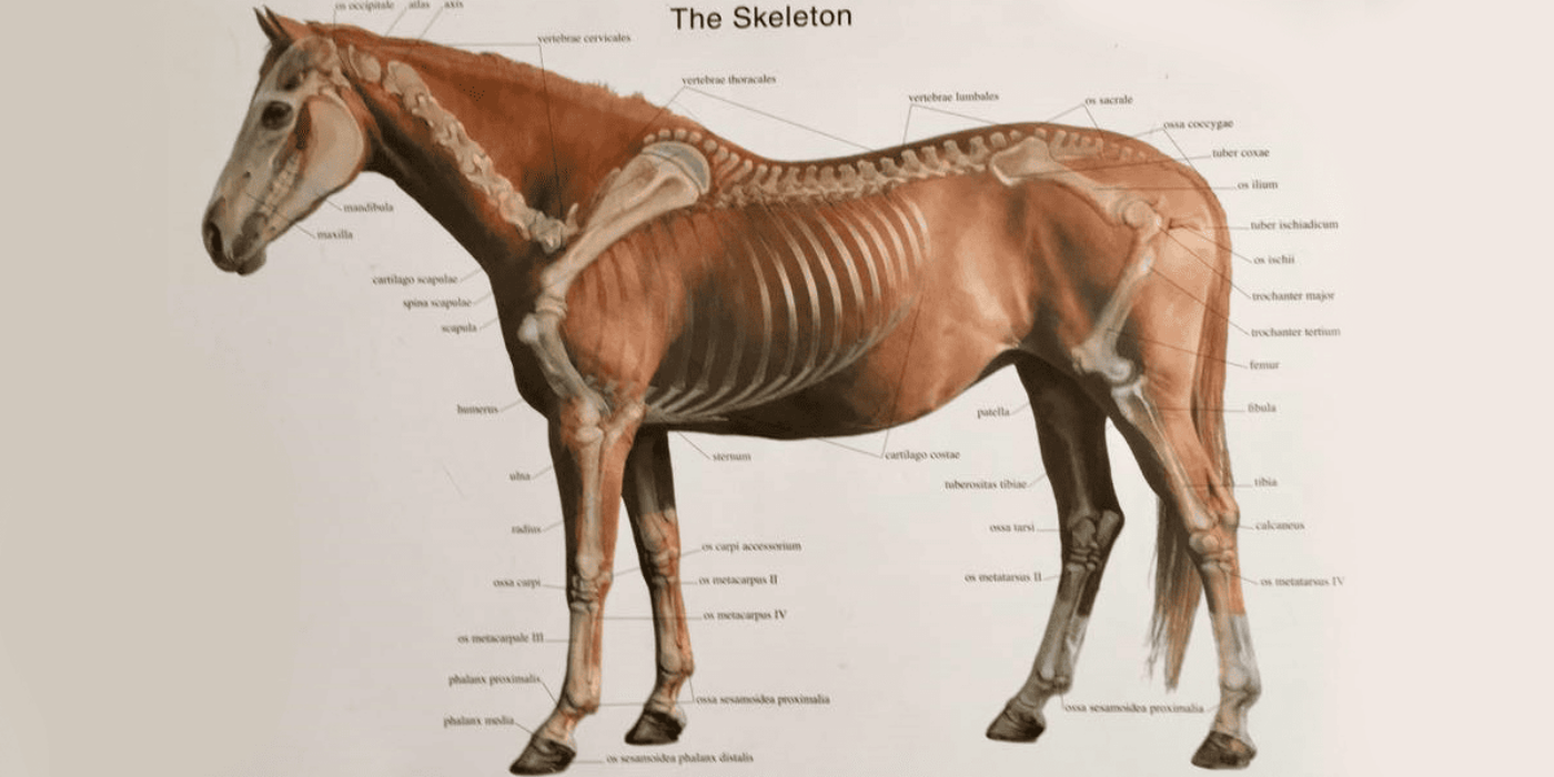 Hallå där Nicole Melberg&#8230;