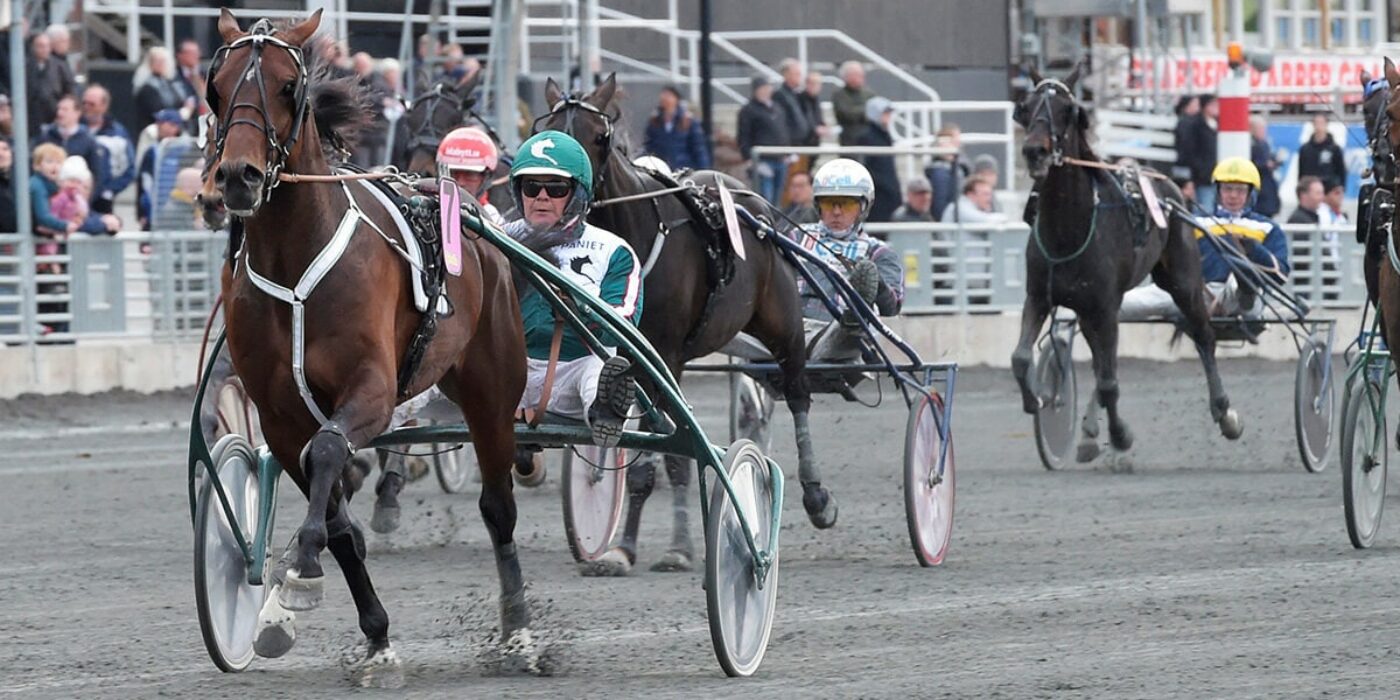 Derbyt nästa för pappas pojke Who&#8217;s Who?