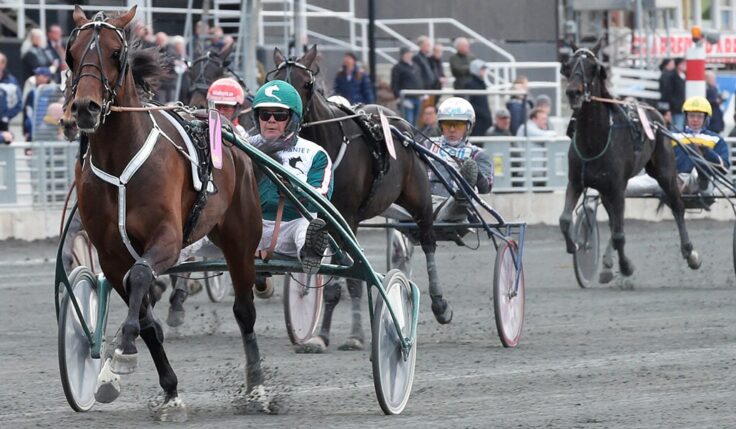 Derbyt nästa för pappas pojke Who’s Who?