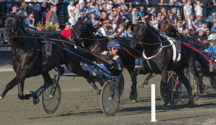 Klart för Mastersfinal