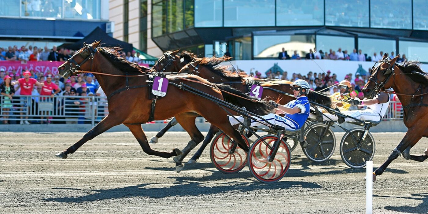 Treåringseliten blir Breeders Course final med 1 miljon i förstapris
