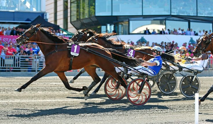 Treåringseliten blir Breeders Course final med 1 miljon i förstapris