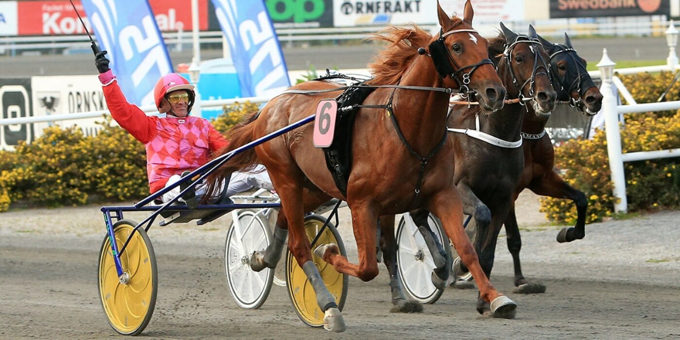 V75: Fransk seger i Silverörnen