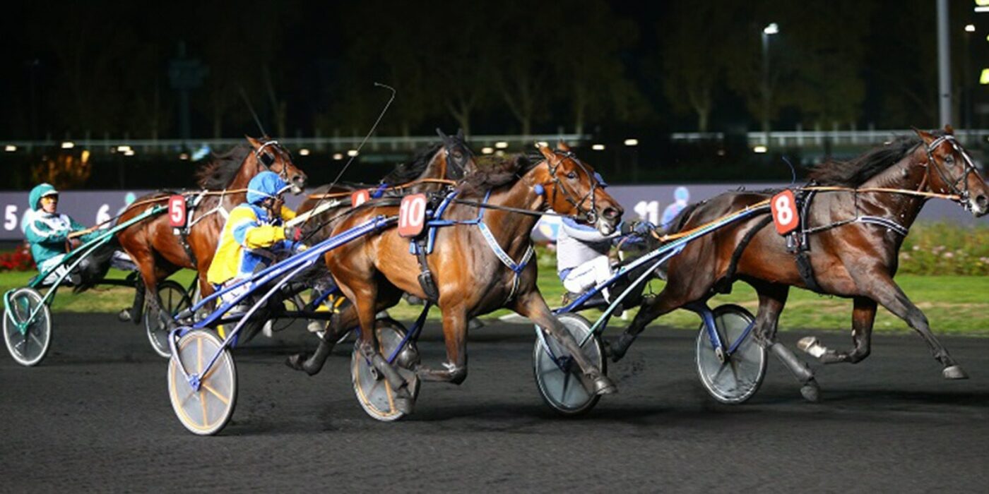 Och svaret blev&#8230;Villiam!